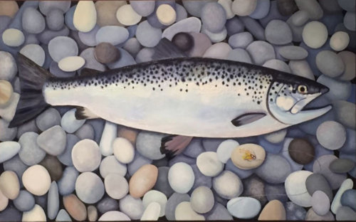 Trout on Pebbles