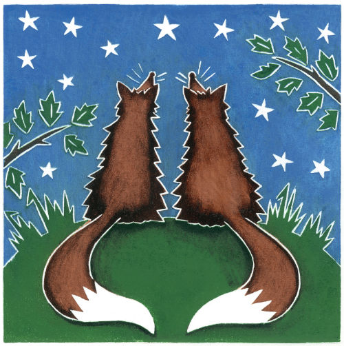 Foxes Star Gazing